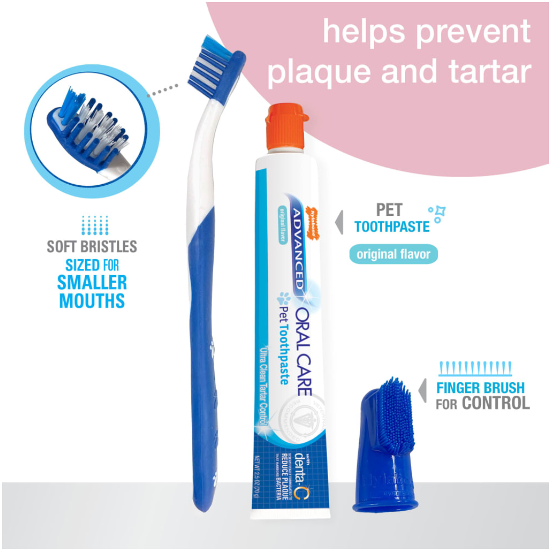 Nylabone Kit Dental Advanced Oral Care para Cachorros