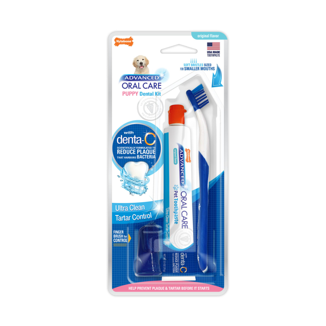 Nylabone Kit Dental Advanced Oral Care para Cachorros