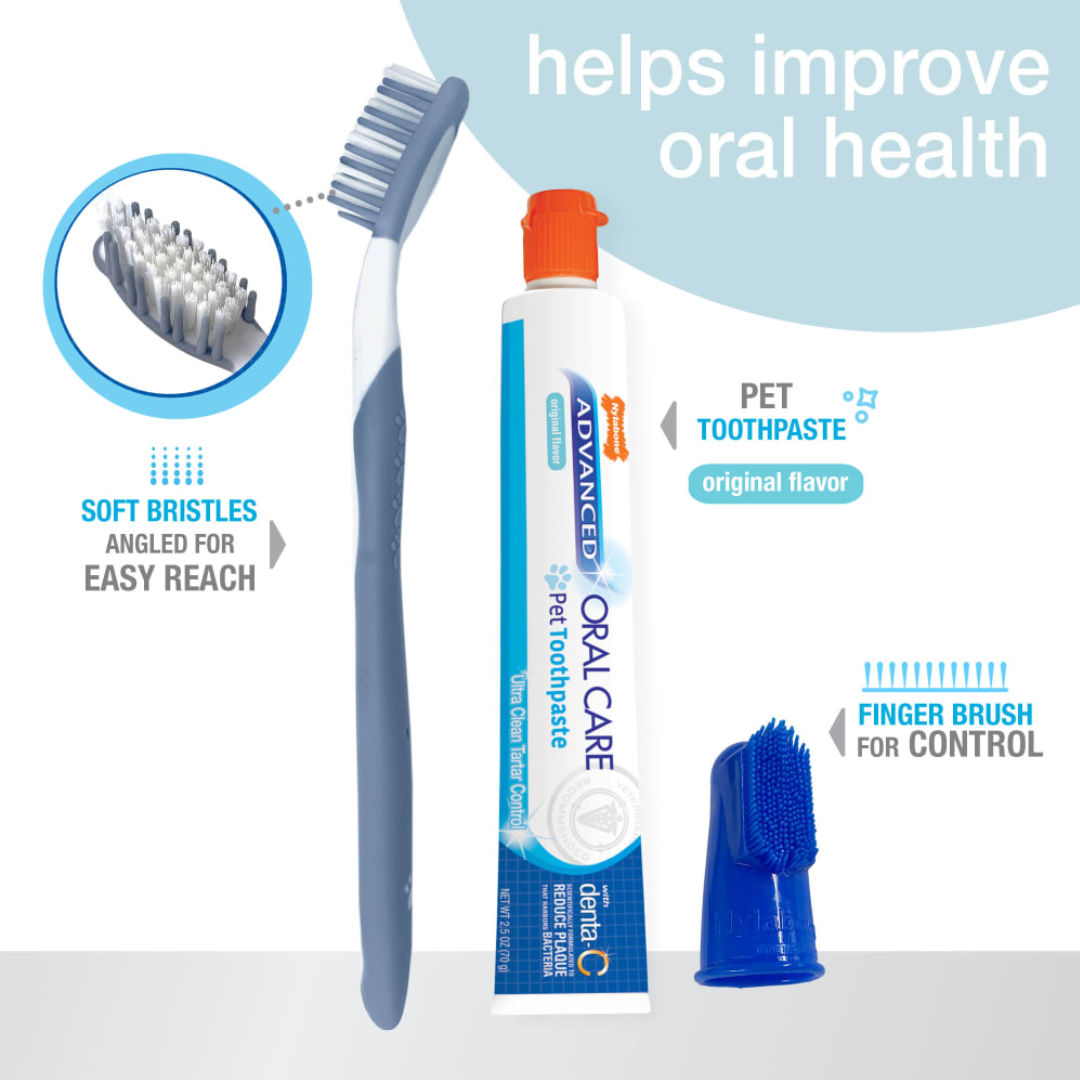 Nylabone Kit Dental Advanced Oral Care para Perros