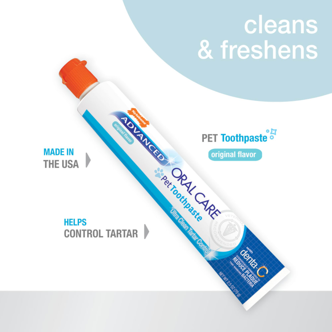 Nylabone Pasta Dental Advanced Oral Care para Perros