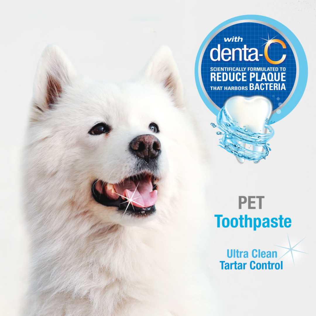 Nylabone Pasta Dental Advanced Oral Care para Perros