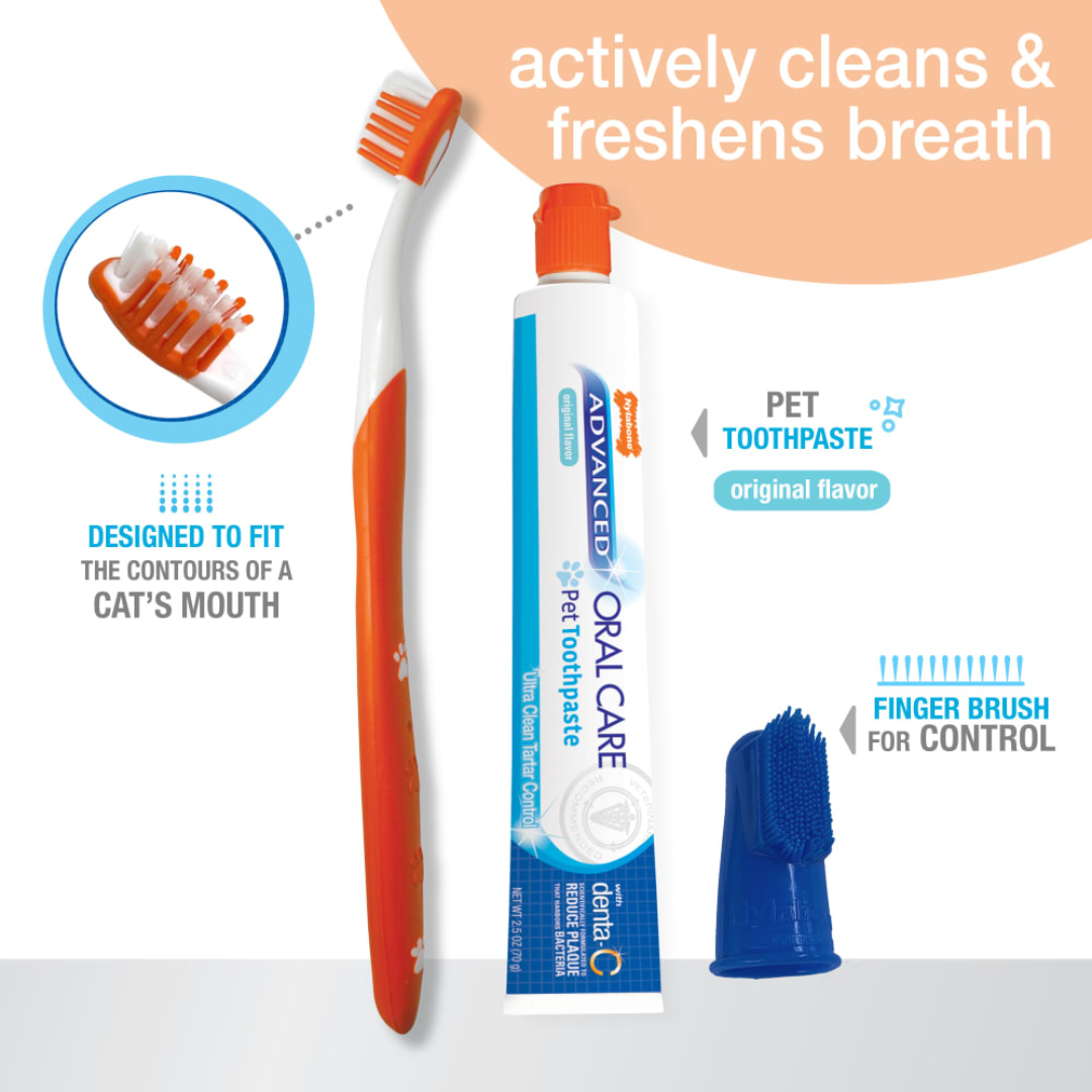 Nylabone Kit Dental Advanced Oral Care para Gatos
