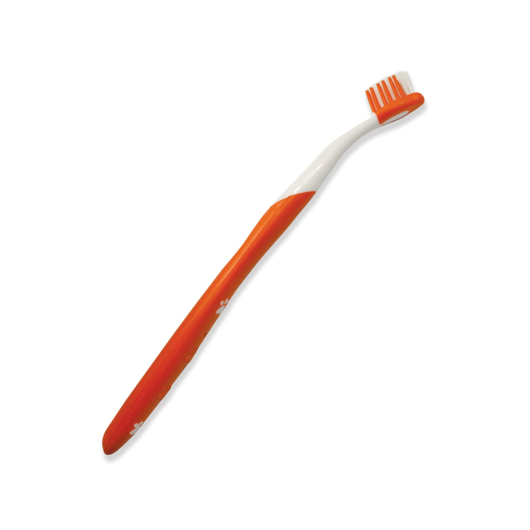 Nylabone Kit Dental Advanced Oral Care para Gatos