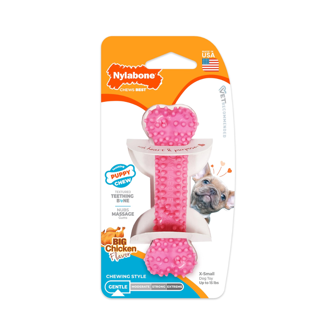 Nylabone Cachorro Huesito de Juguete Puppy Chew Dental