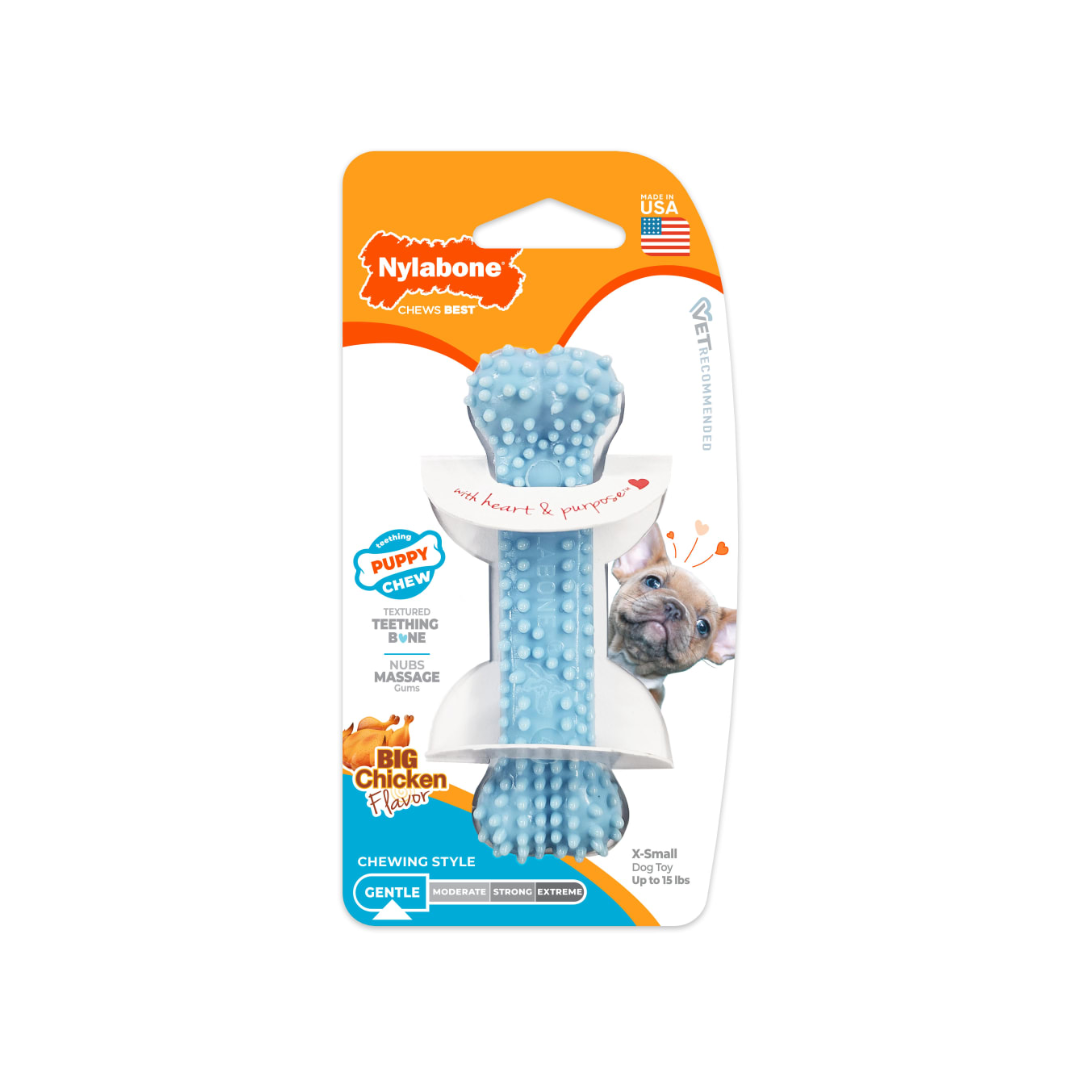 Nylabone Cachorro Huesito de Juguete Puppy Chew Dental