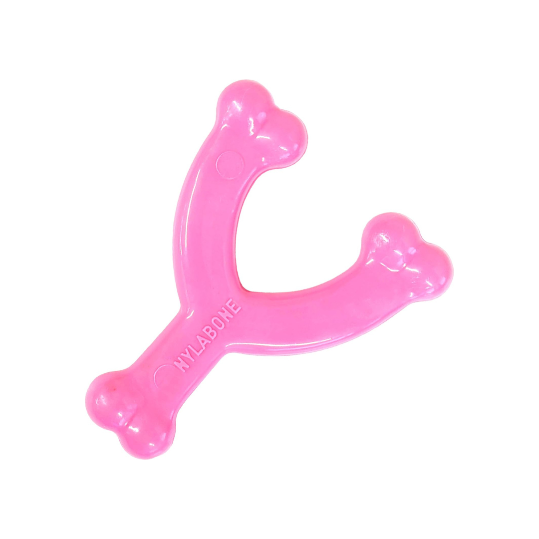 Nylabone Cachorro Huesito Wishbone Puppy Chew Pollo