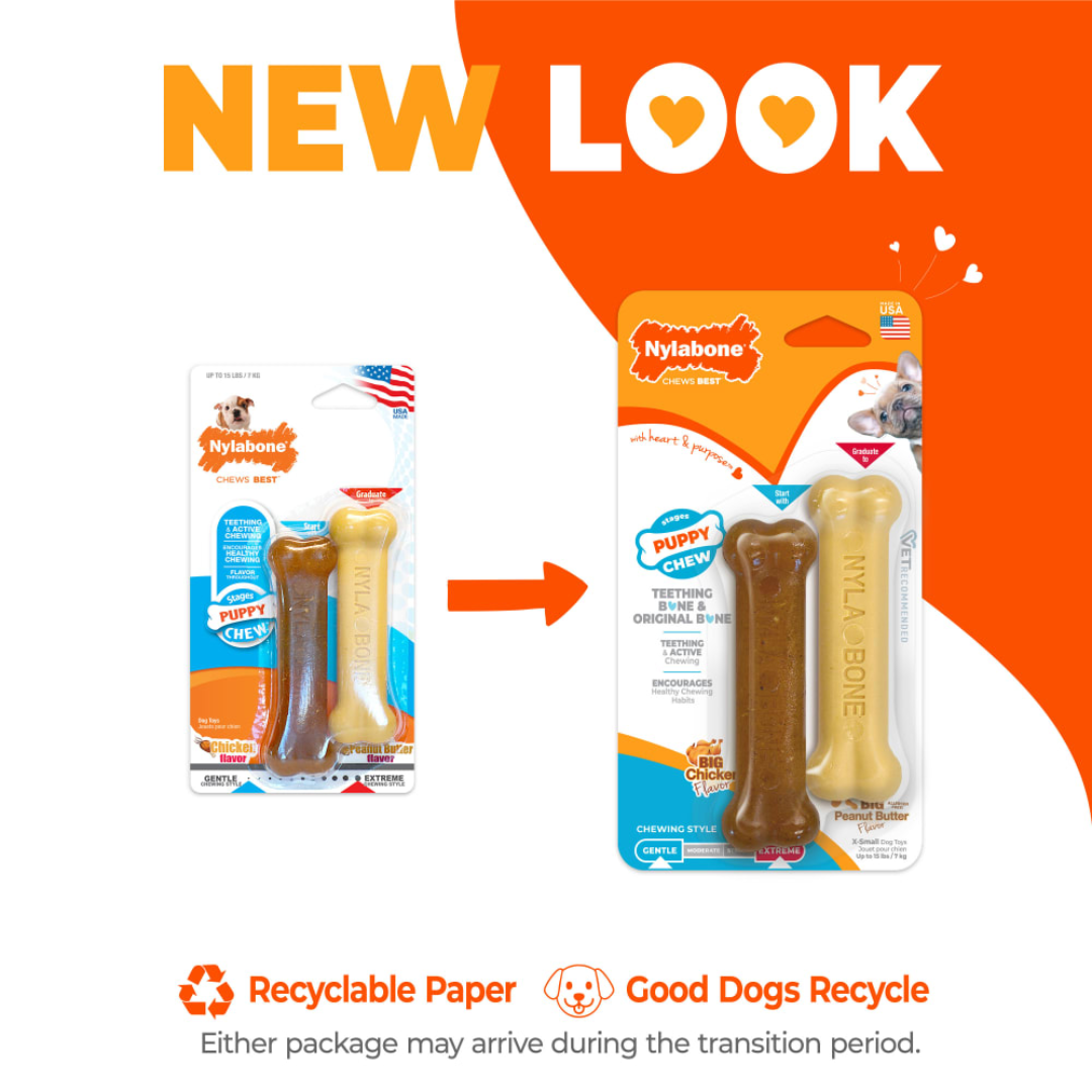 Nylabone Cachorro 2 Pack Puppy Pollo y Mantequilla de Maní