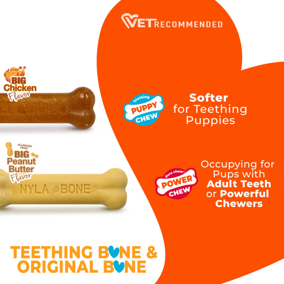 Nylabone Cachorro 2 Pack Puppy Pollo y Mantequilla de Maní