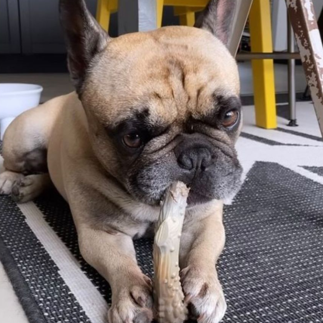Nylabone Juguete Power Chew Astas de Venado