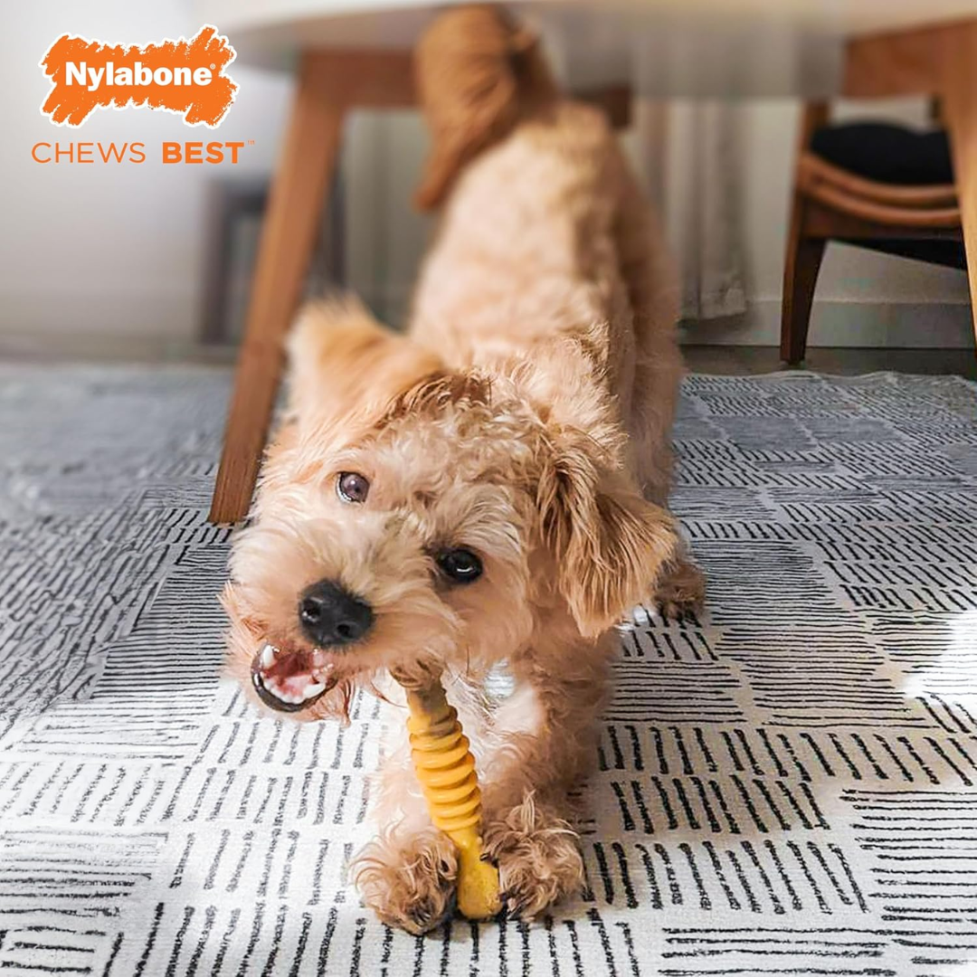 Nylabone Juguete Power Chew Pastel de Carne y Queso