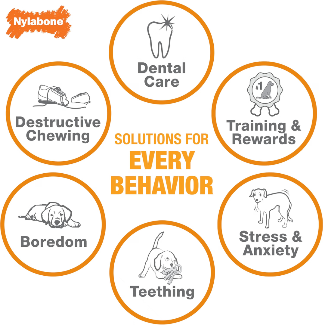 Nylabone Juguete Moderate Dental
