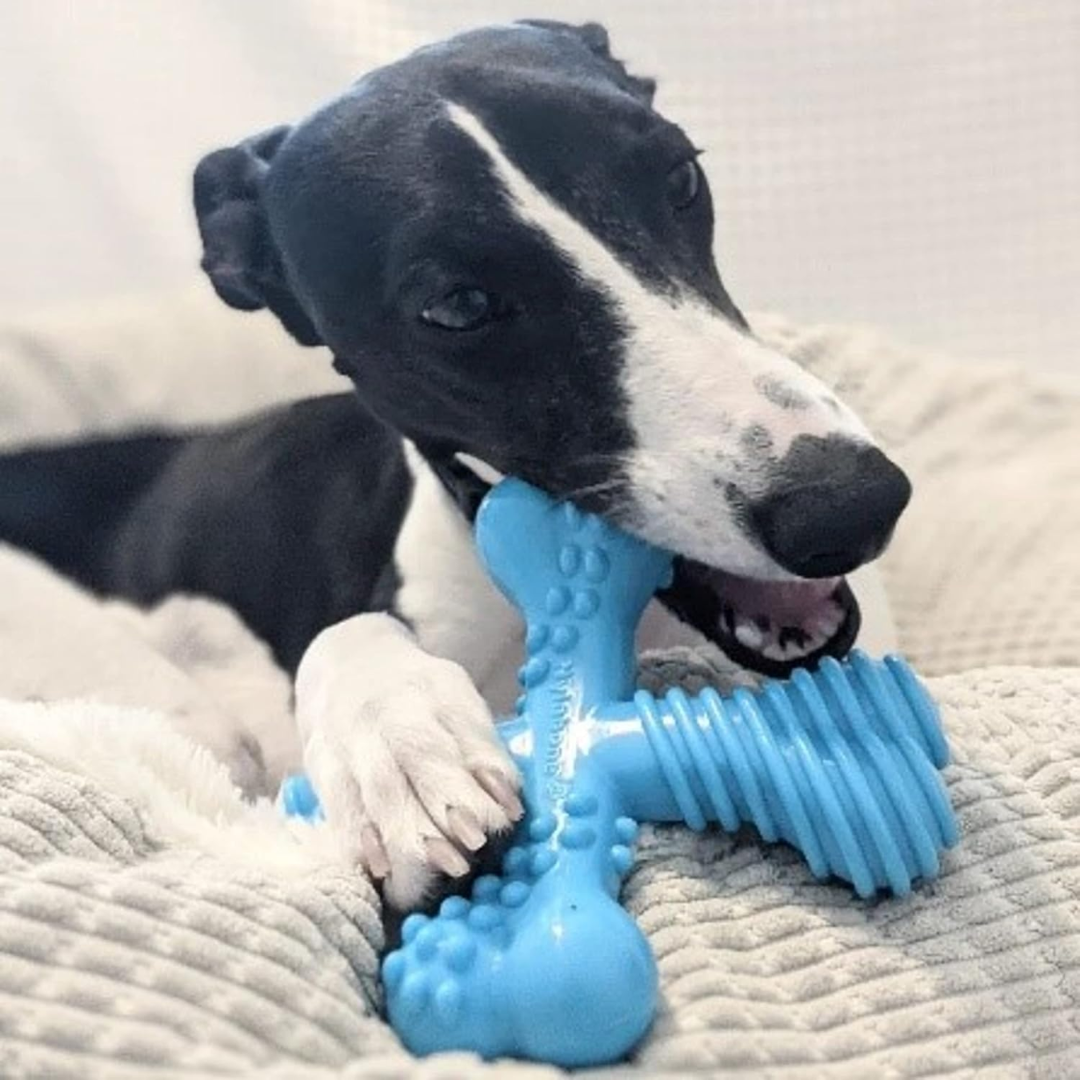 Nylabone Juguete Power Chew Res