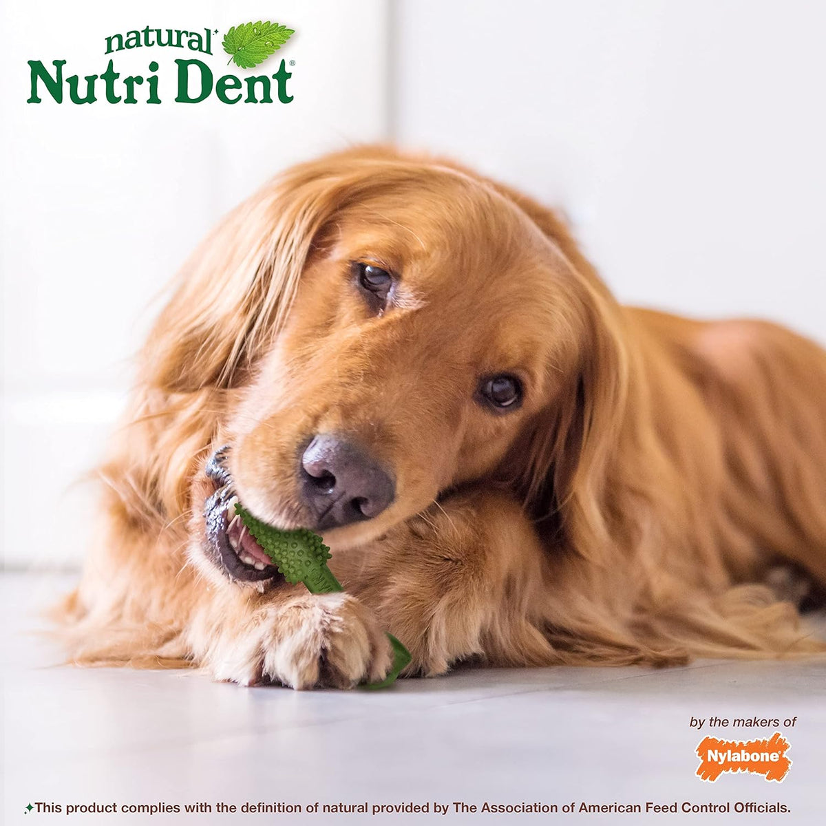 Nylabone Nutri Dent Premios Dentales Aliento Fresco