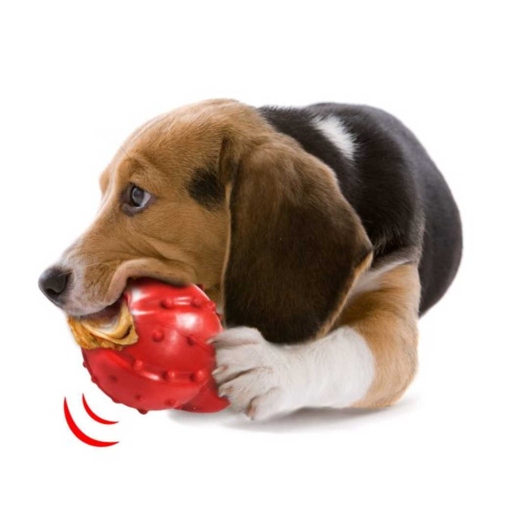 Nylabone Juguete Strong Chew Cono Tocino