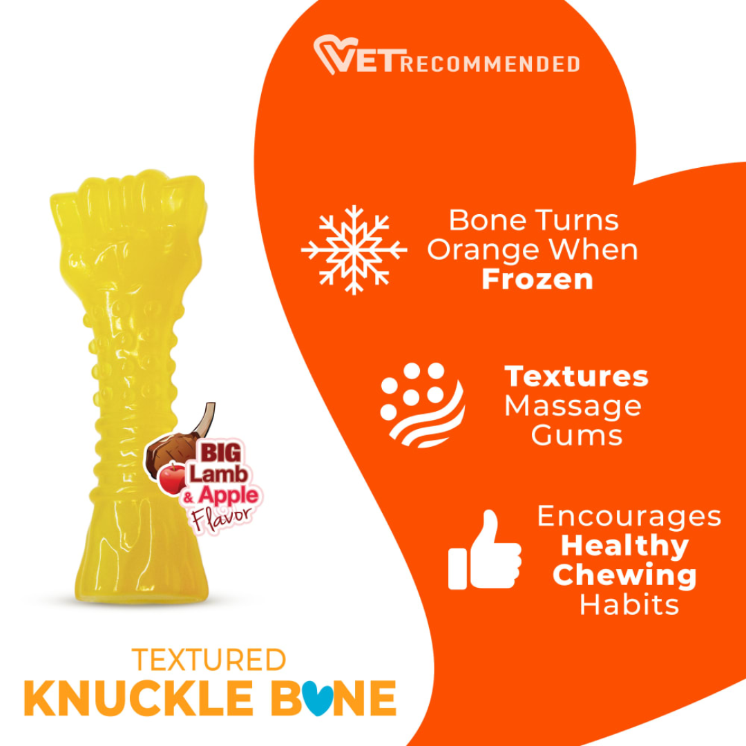 Nylabone Cachorro Juguete Power Chew Hueso para congelar
