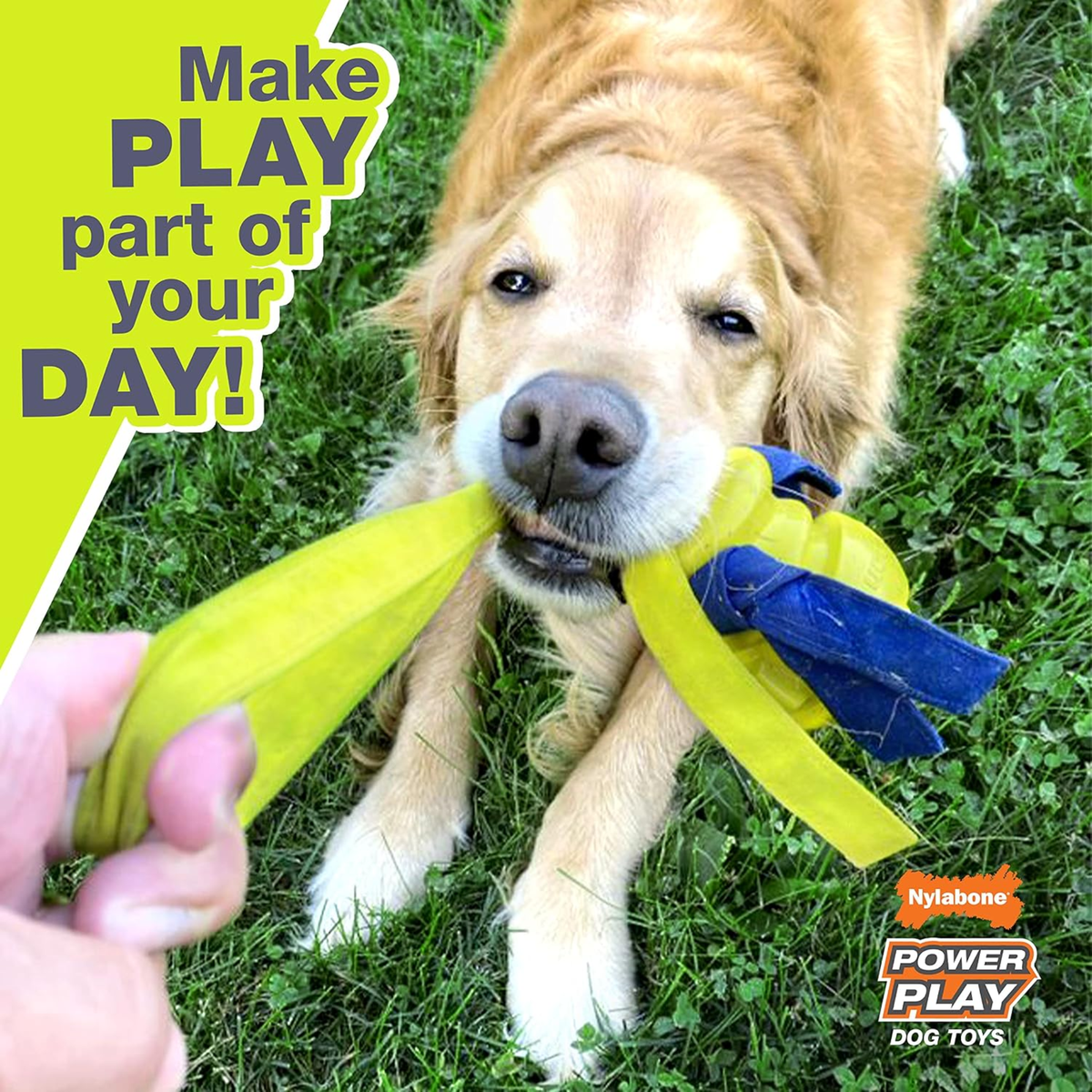 Nylabone juguete Power Play Football, para perro