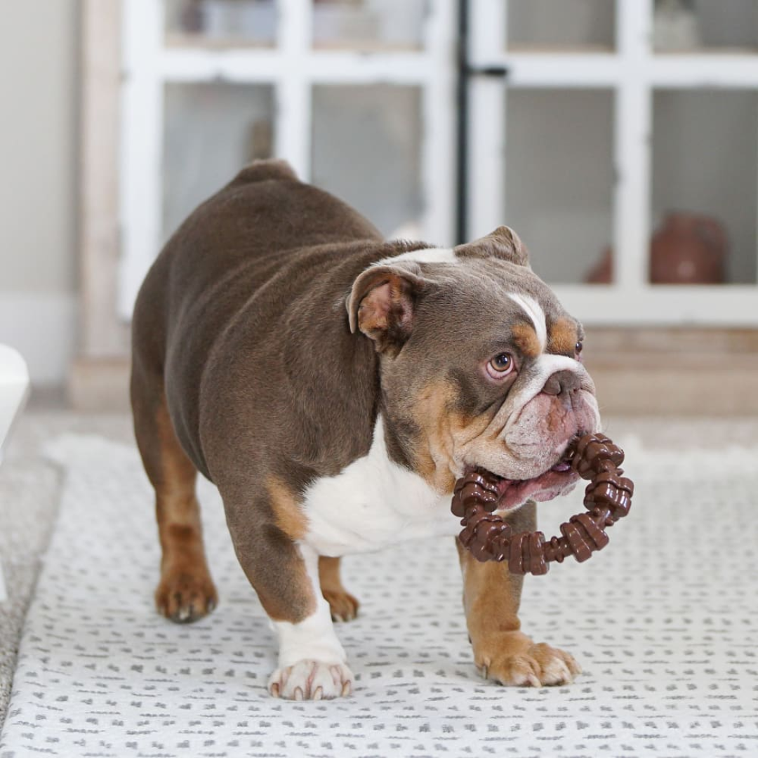 Nylabone Power Chew Anillo Texturizado