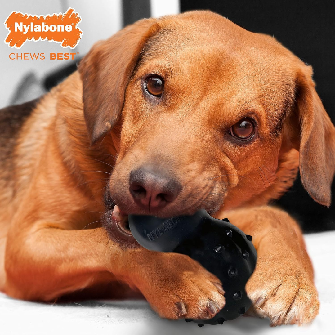 Nylabone Juguete Strong Max Chew Tocino