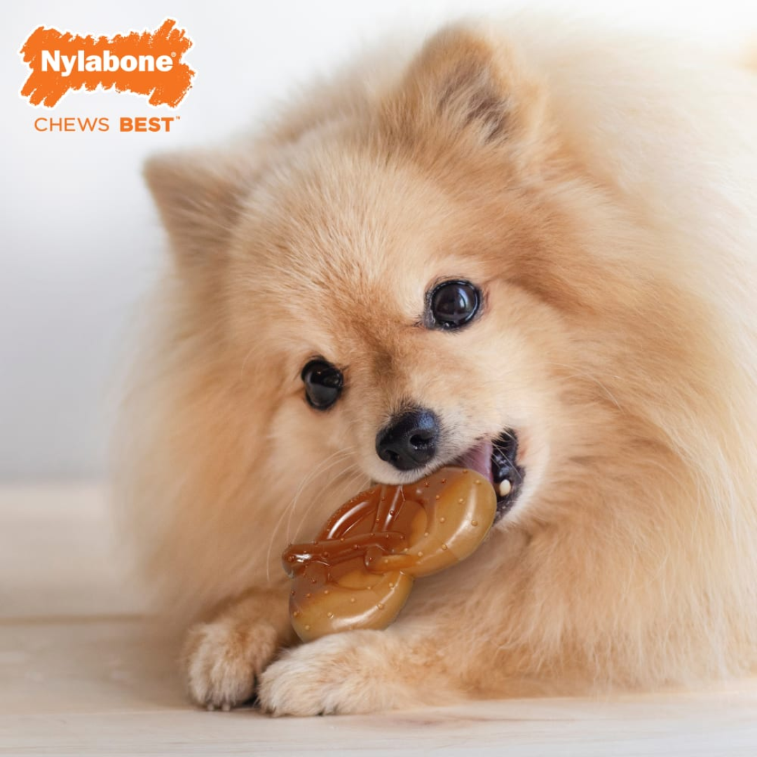 Nylabone Juguete Power Chew Pretzel Tocino y crema de Cacahuate