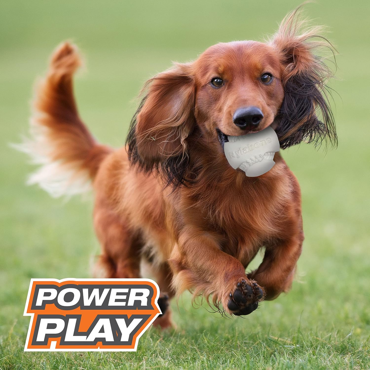 Nylabone Juguete Power Play Baseball, para perro