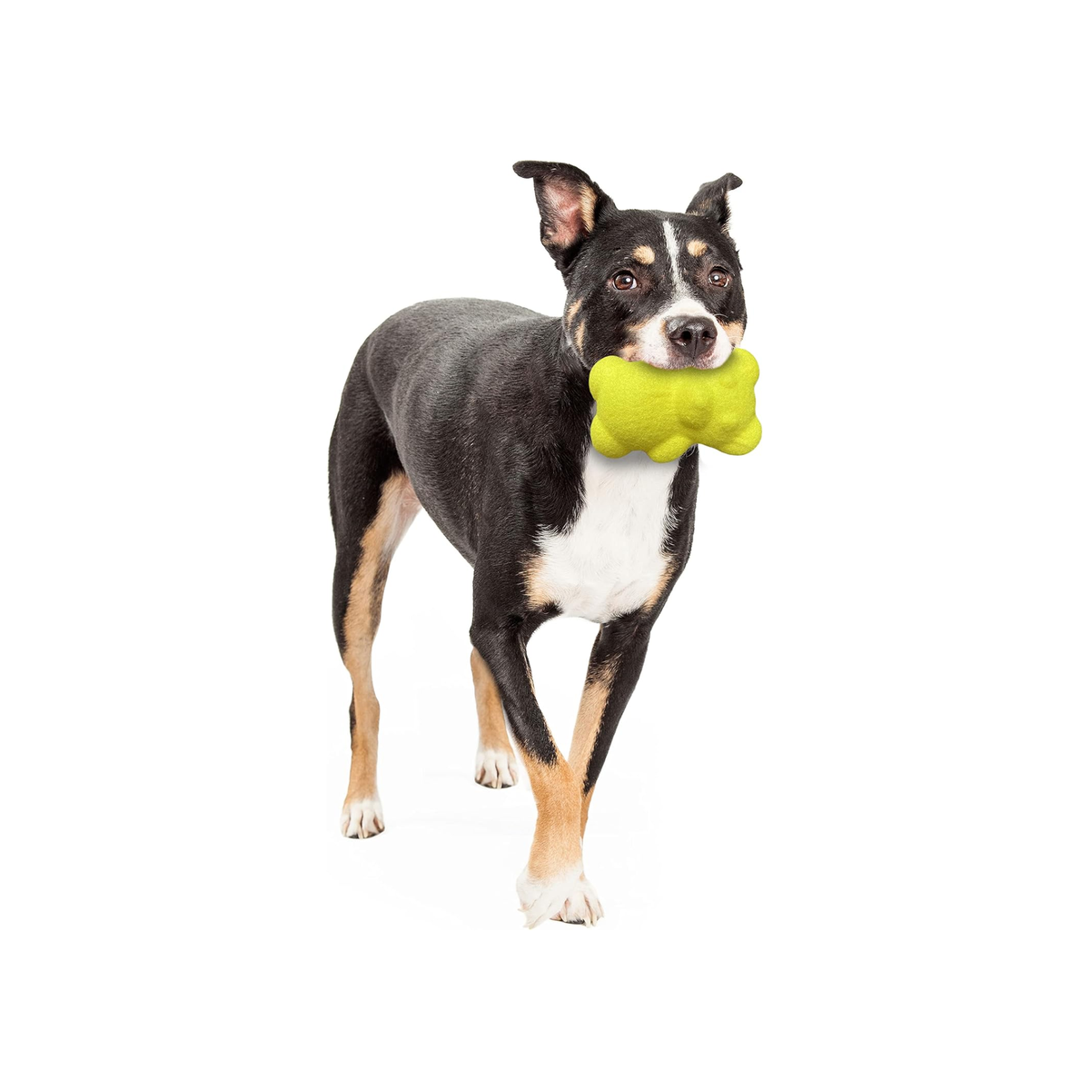 Nylabone Juguete Power Play Teddy Bear, para perro