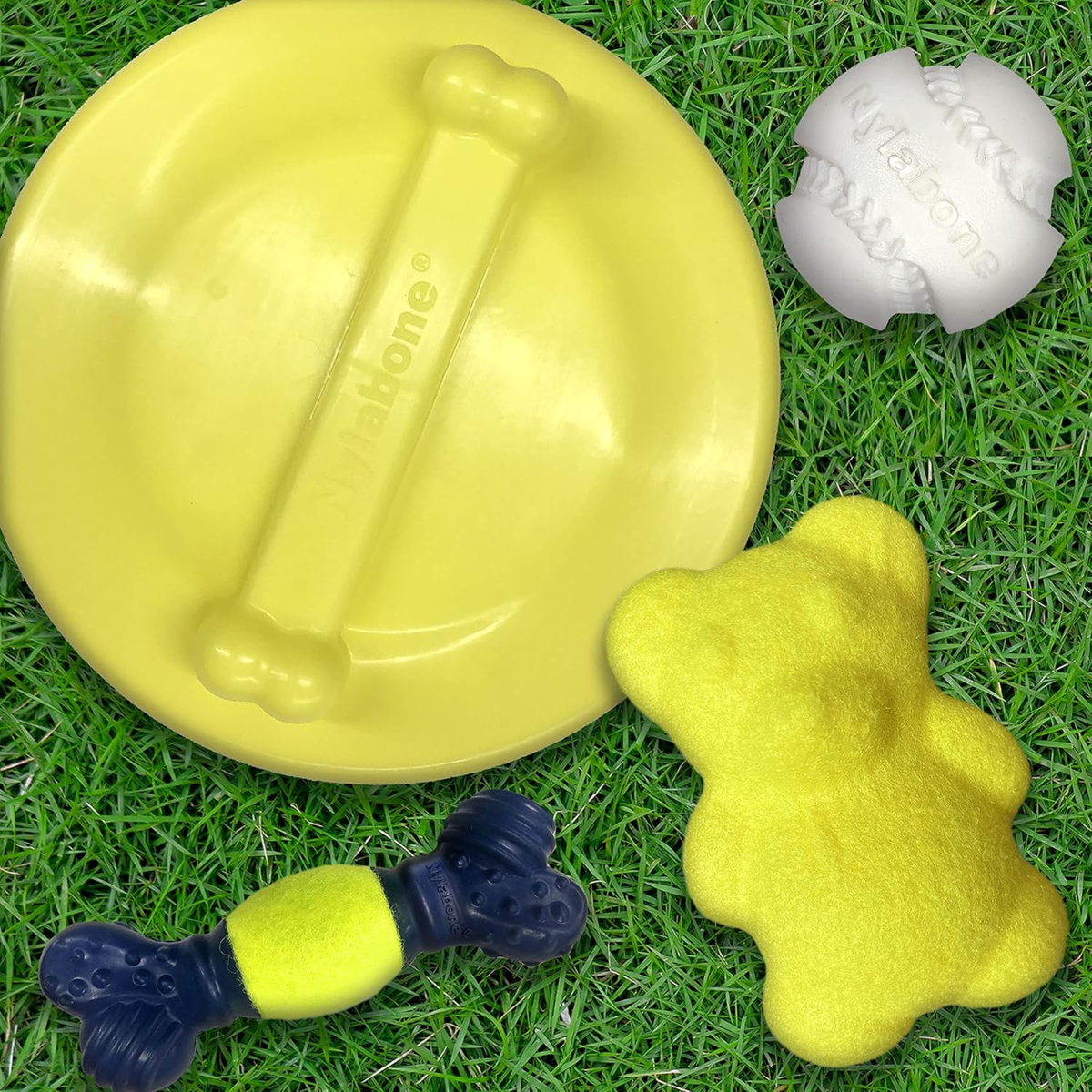 Nylabone Juguete Power Play Glider Flyer, para perro