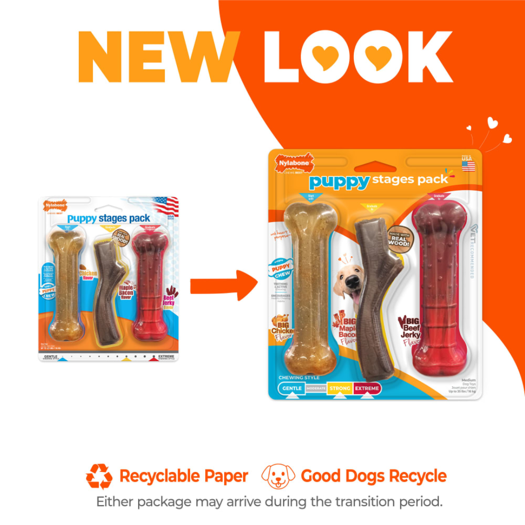 Nylabone Cachoro Juguete 3pack