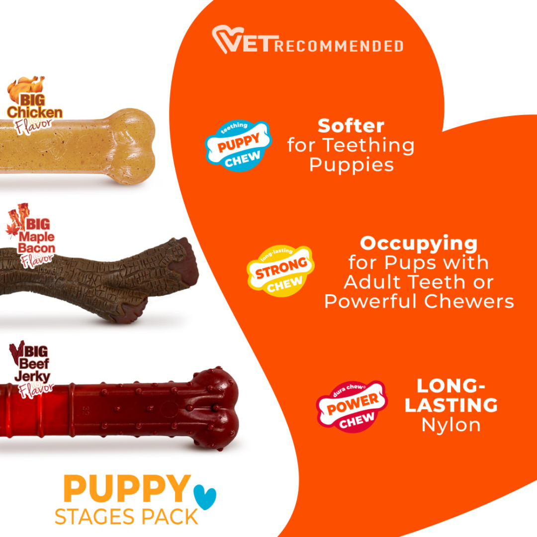 Nylabone Cachoro Juguete 3pack