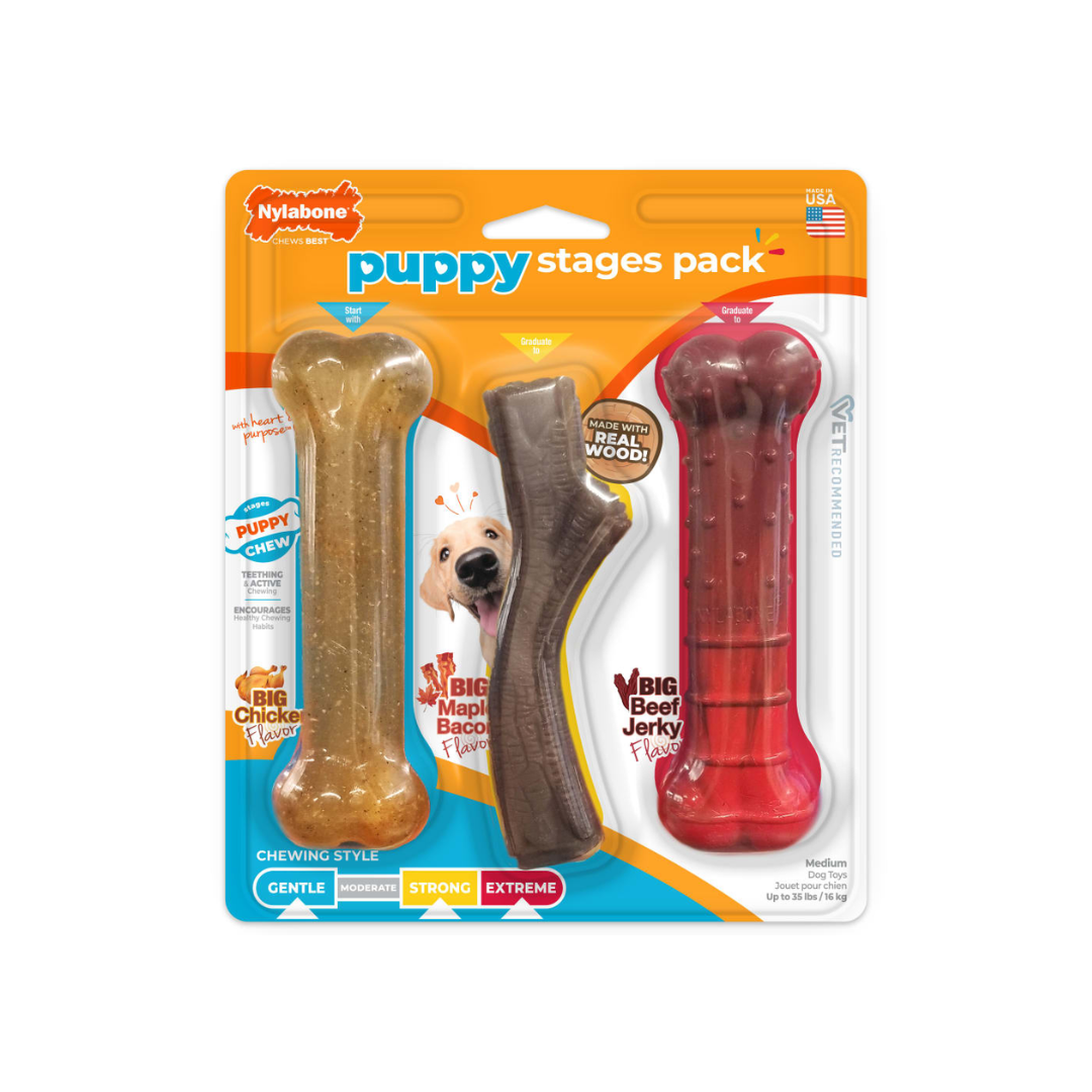 Nylabone Cachoro Juguete 3pack