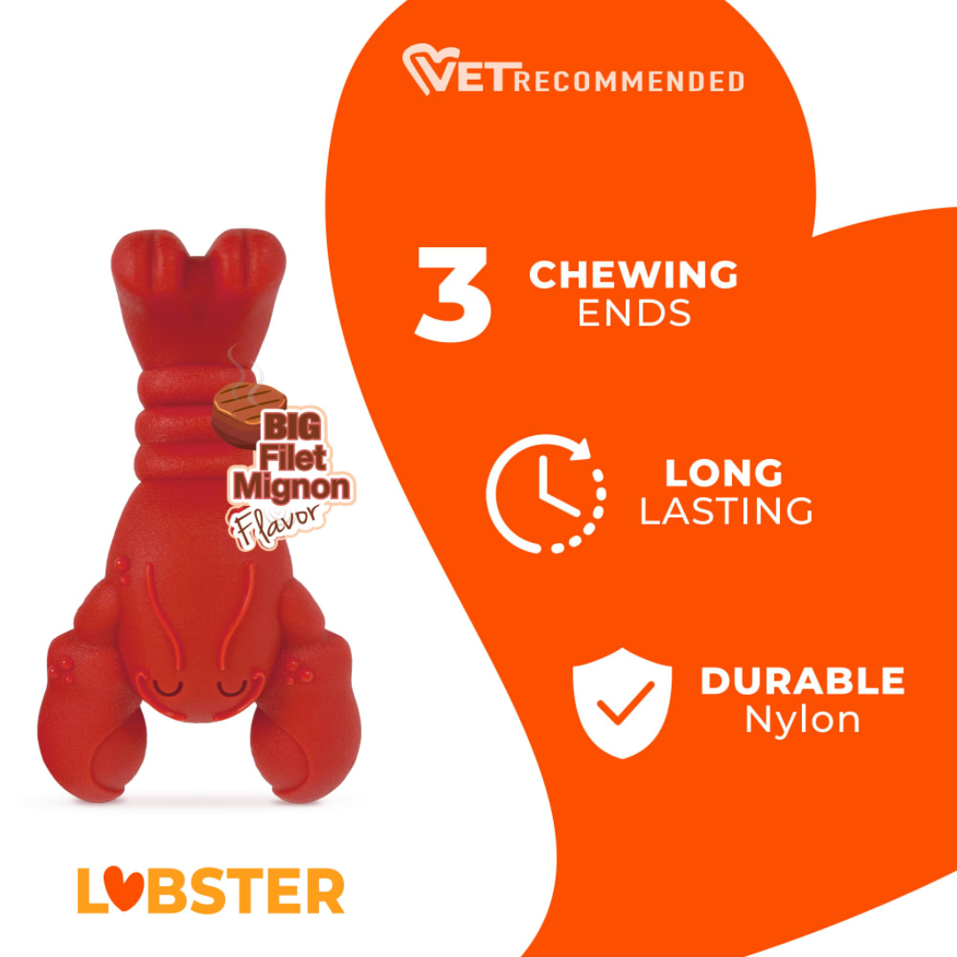 Nylabone Juguete Masticable Langosta