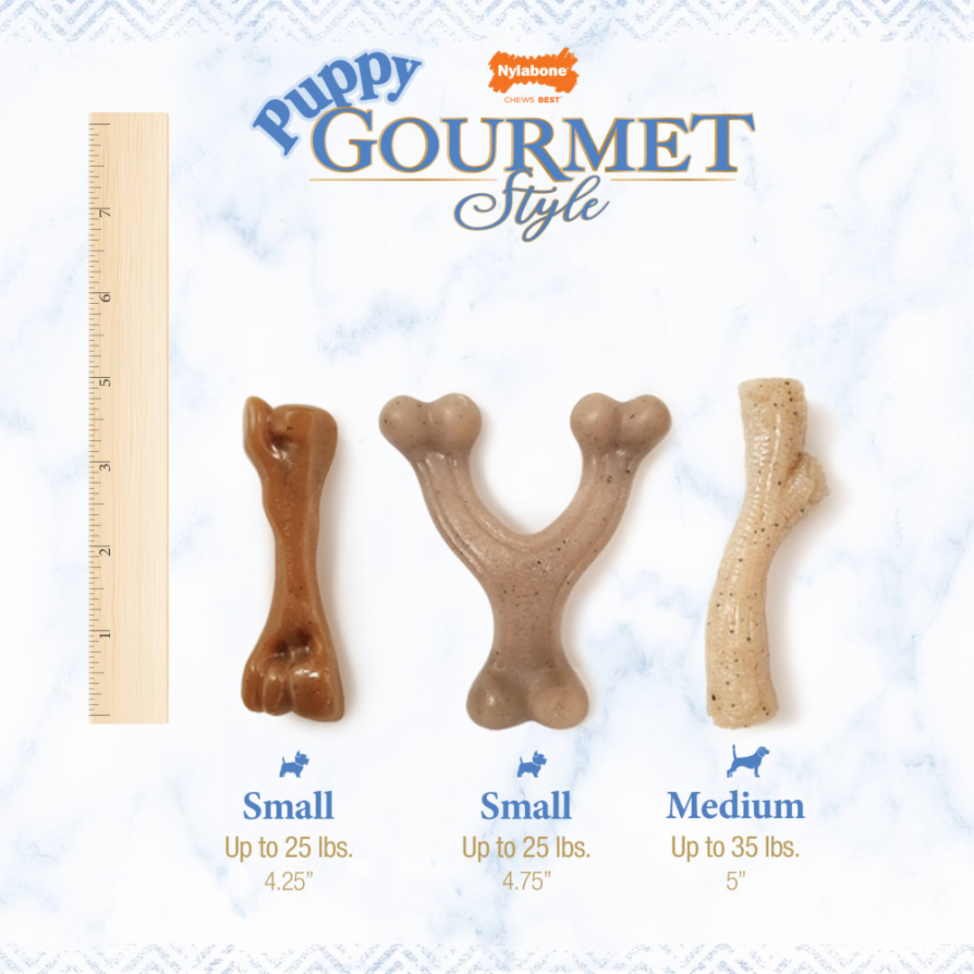 Nylabone Cachorro Juguete Rama Gourmet Style Pollo