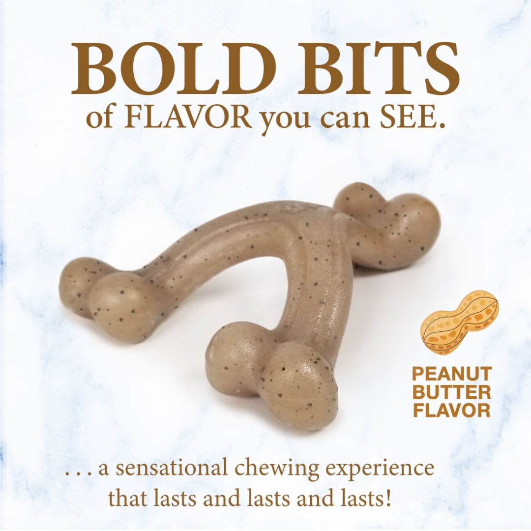 Nylabone Cachorro Juguete Wishbone Puppy Gourmet Style Mantequilla de Maní