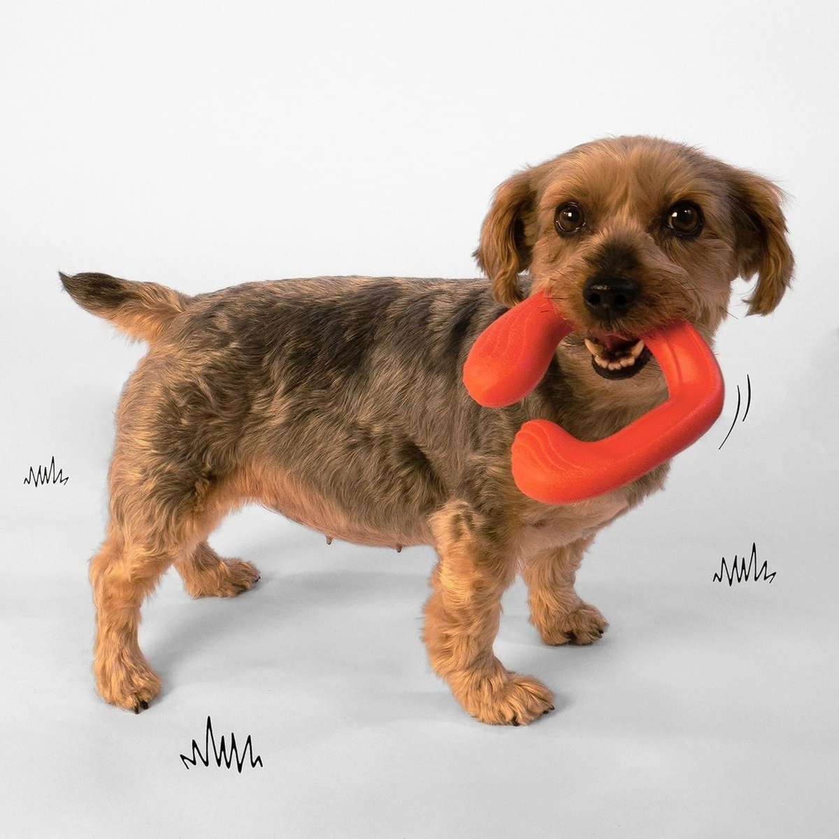 Nylabone juguete Creative Play C-Shuu Rojo, para perro
