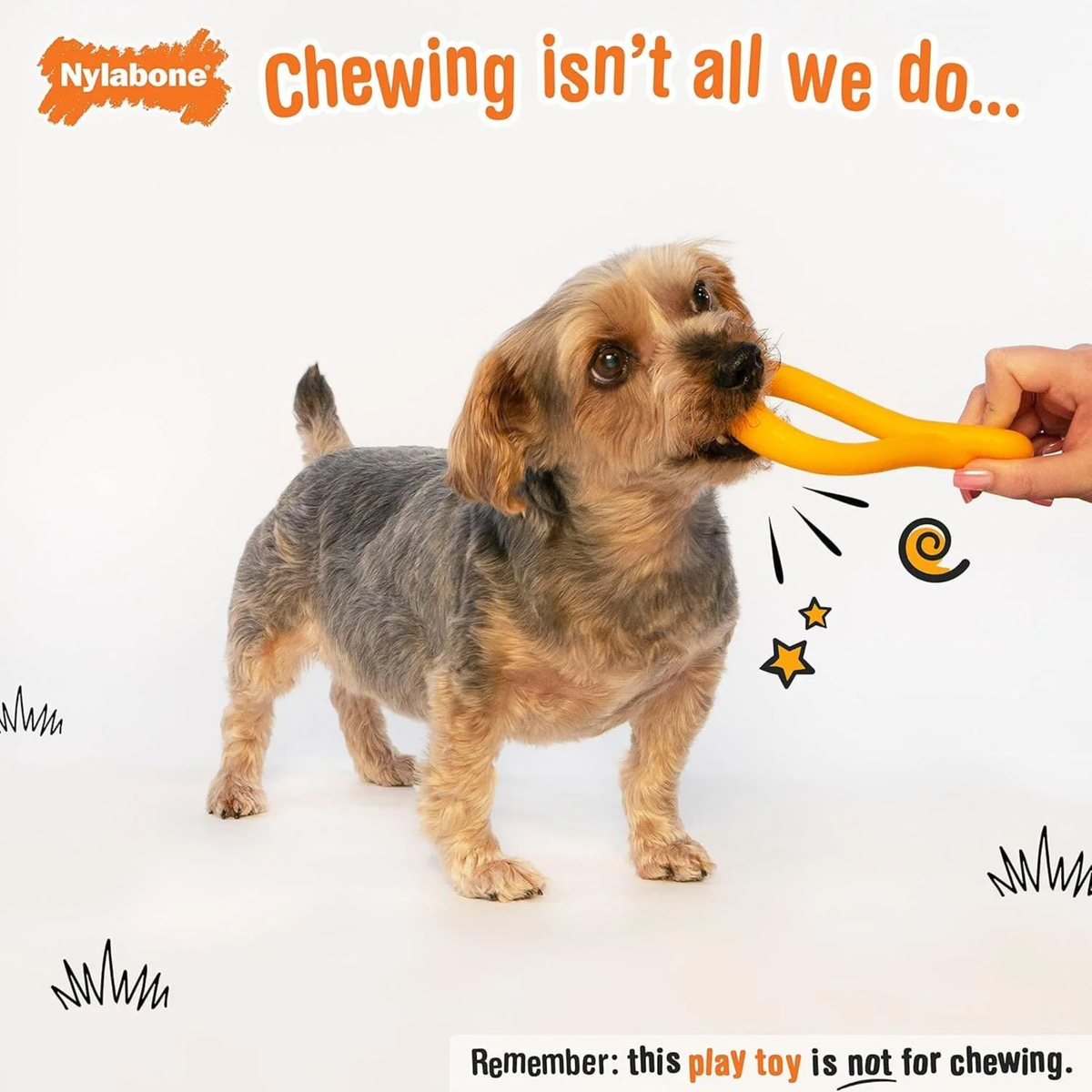 Nylabone juguete Creative Play Tuug Naranja, para perro