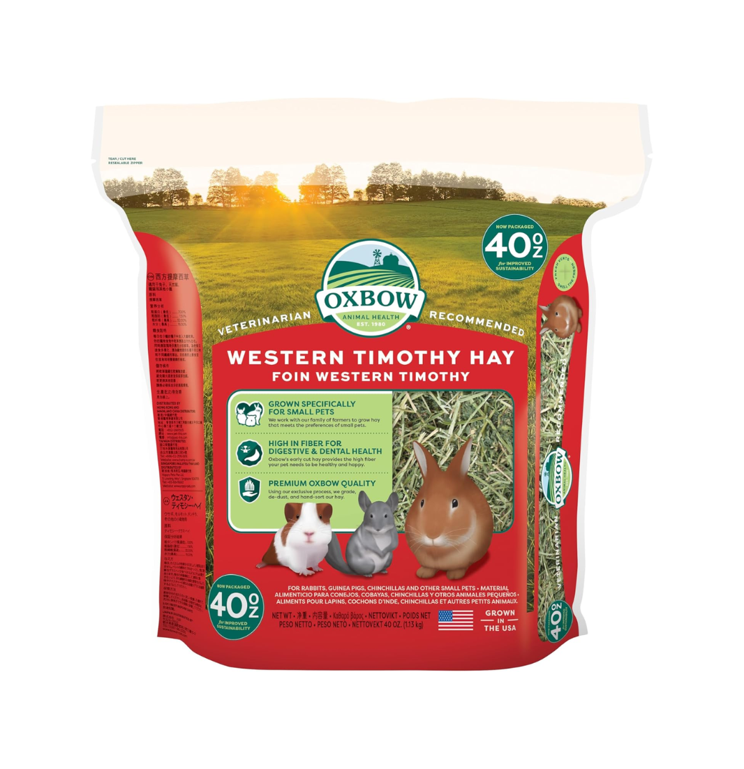 Pasto Western Timothy
