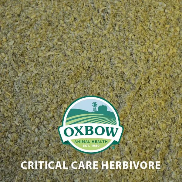Oxbow Critical Care Suplemento Anís para Herbívoros