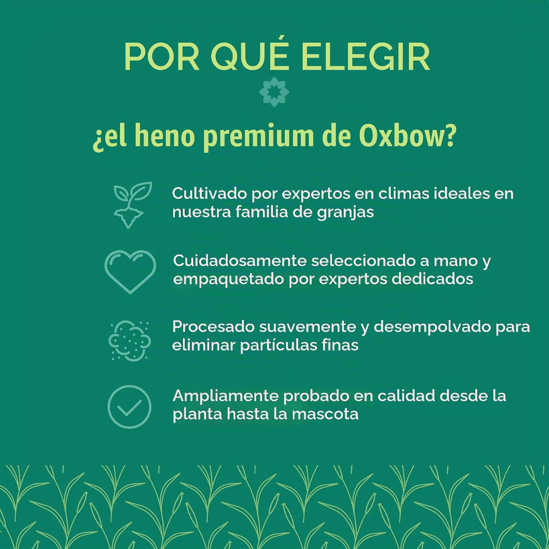 Oxbow Mezcla de pastos para pequeños mamíferos