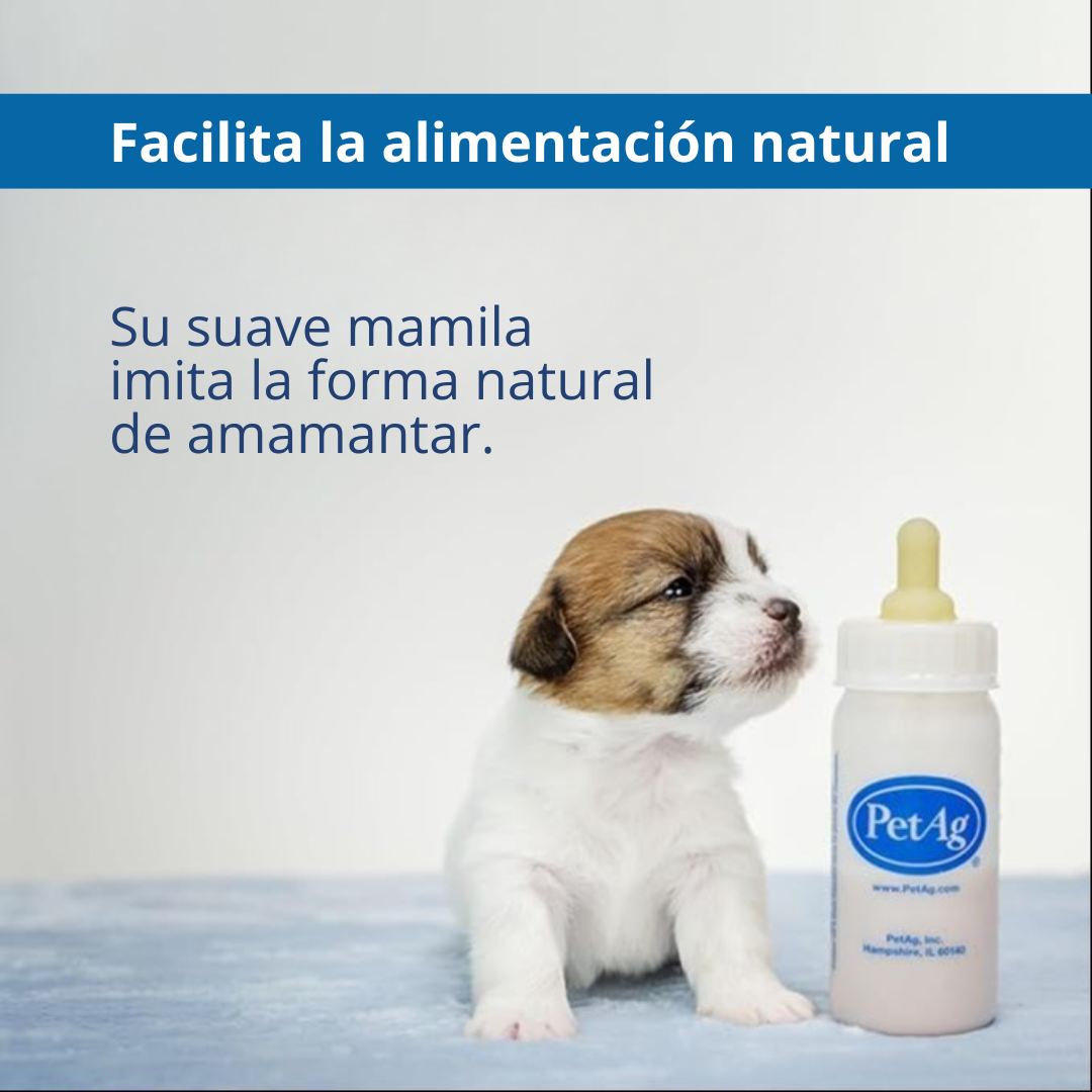 PetAg Set de mamilas