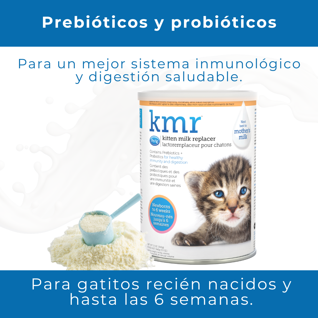 KMR Para Gatito Fórmula en polvo