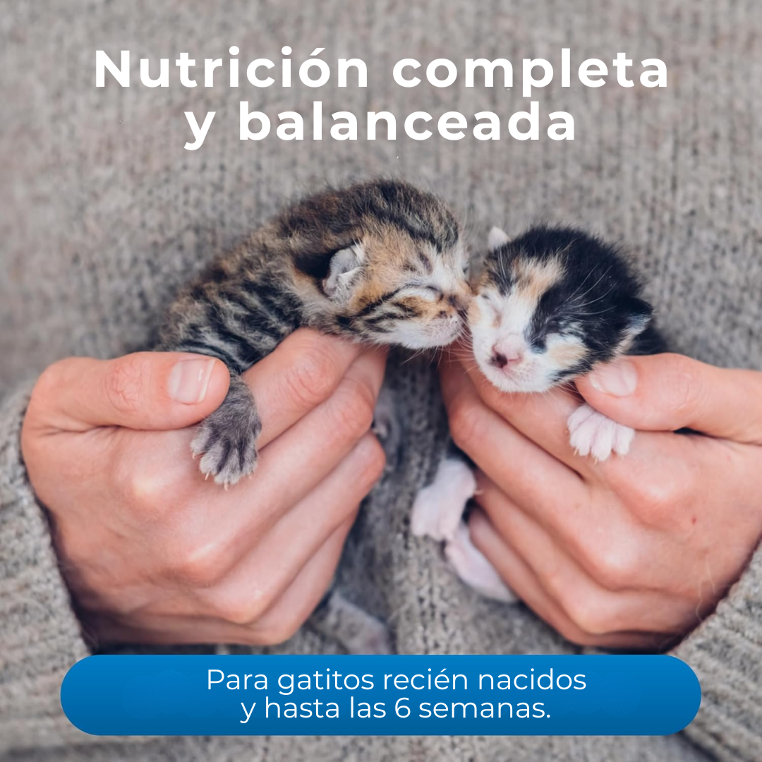 KMR Para Gatito Fórmula en polvo