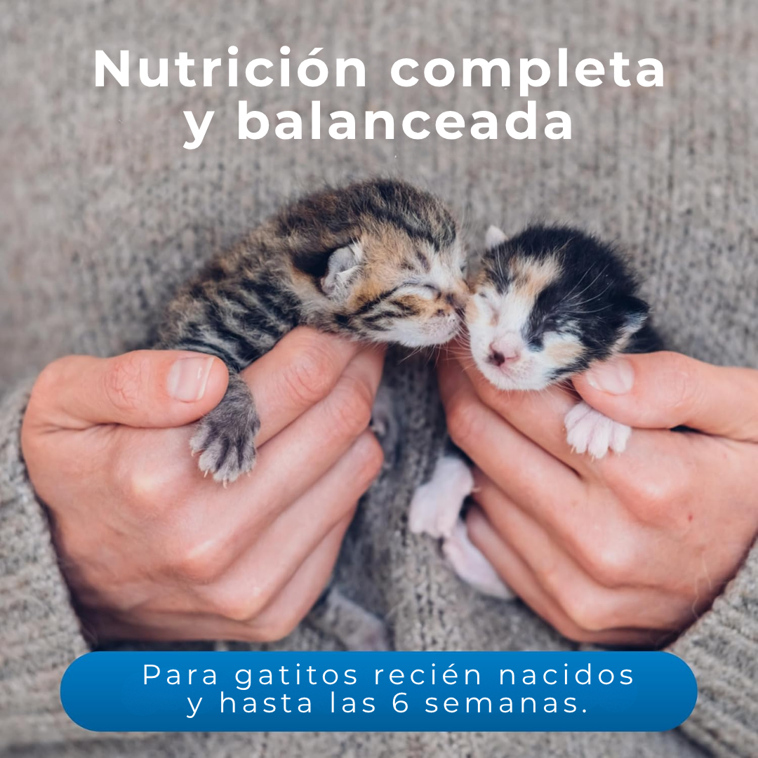 Goat's Milk KMR para Gatito Fórmula en polvo