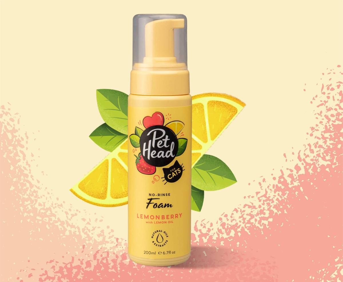 Pet Head Espuma Shampoo sin Enjuague para Gato