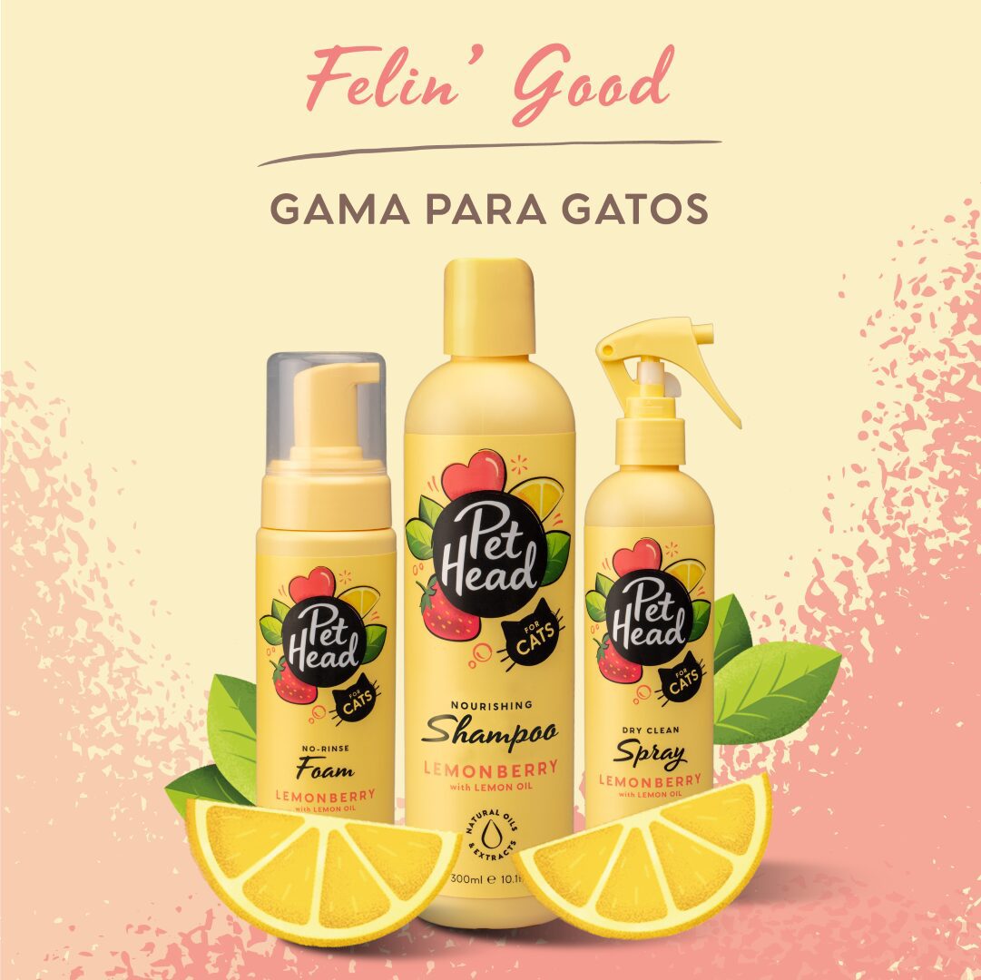 Pet Head Espuma Shampoo sin Enjuague para Gato