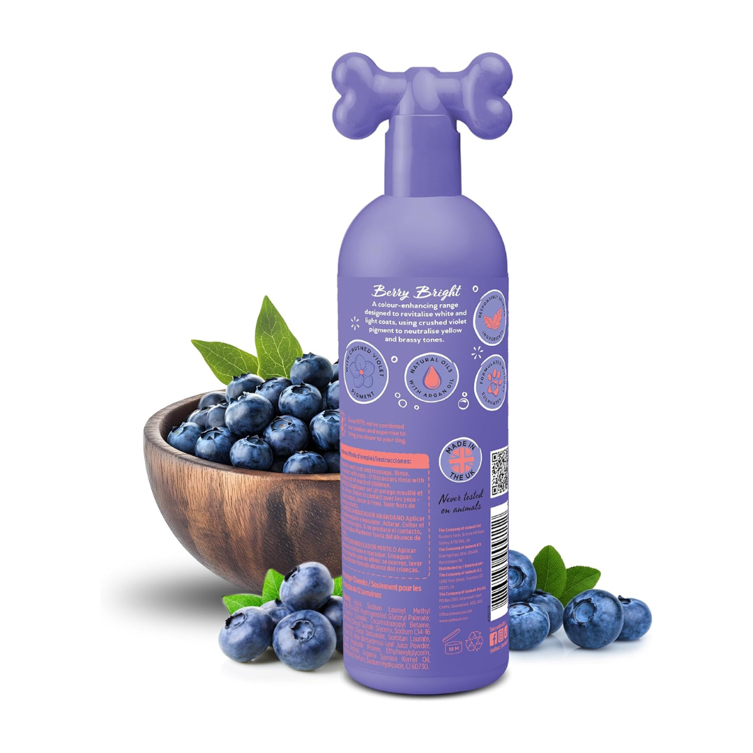 Pet Head Shampoo Berry Bright Aroma a arándanos