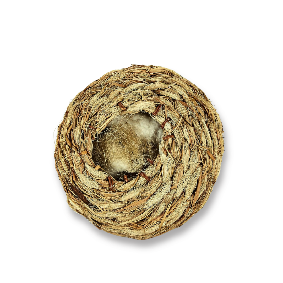 Kaytee Nido Roll-A-Nest de cesped natural, grande