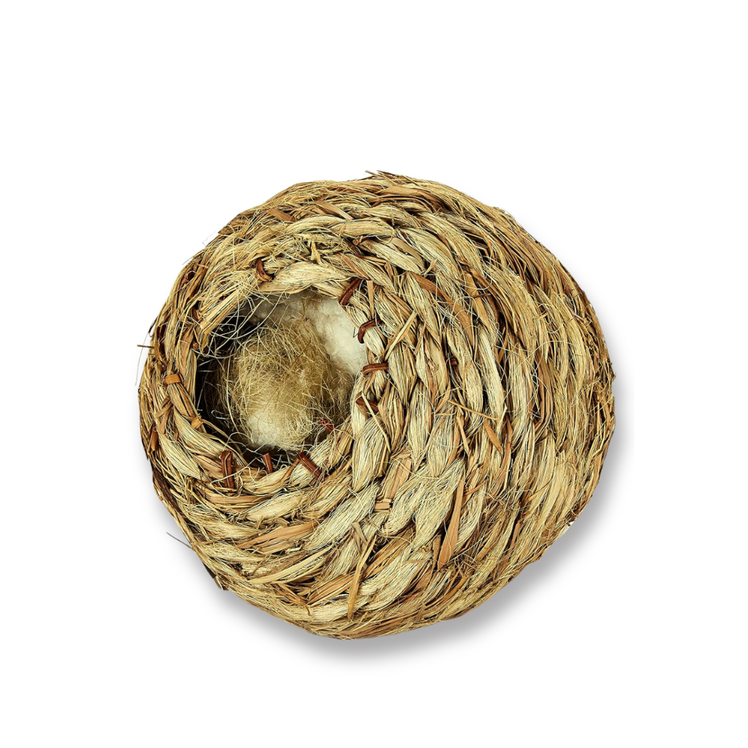 Kaytee Nido Roll-A-Nest de cesped natural, grande