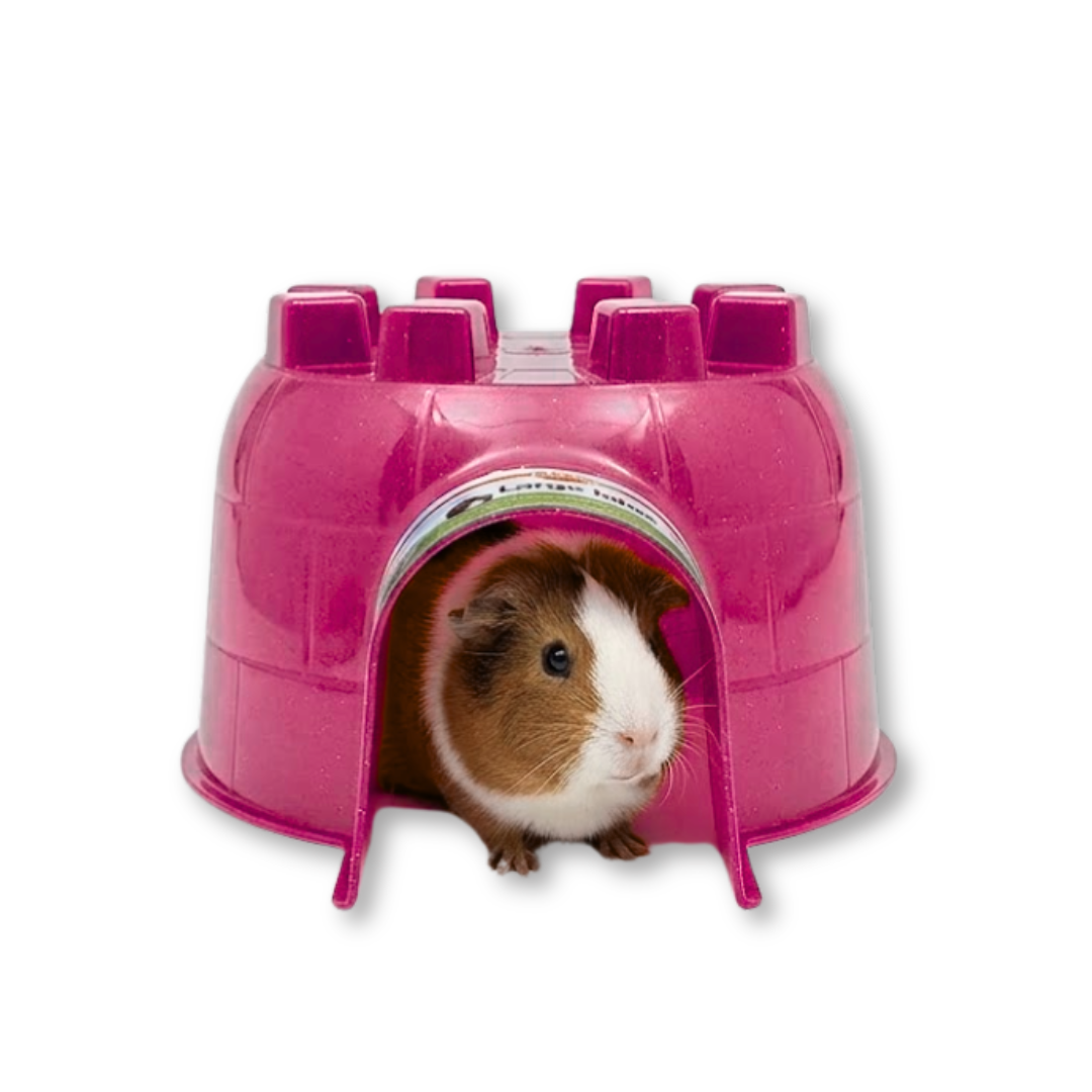 Kaytee Refugio para pequeños mamíferos Pet Igloo