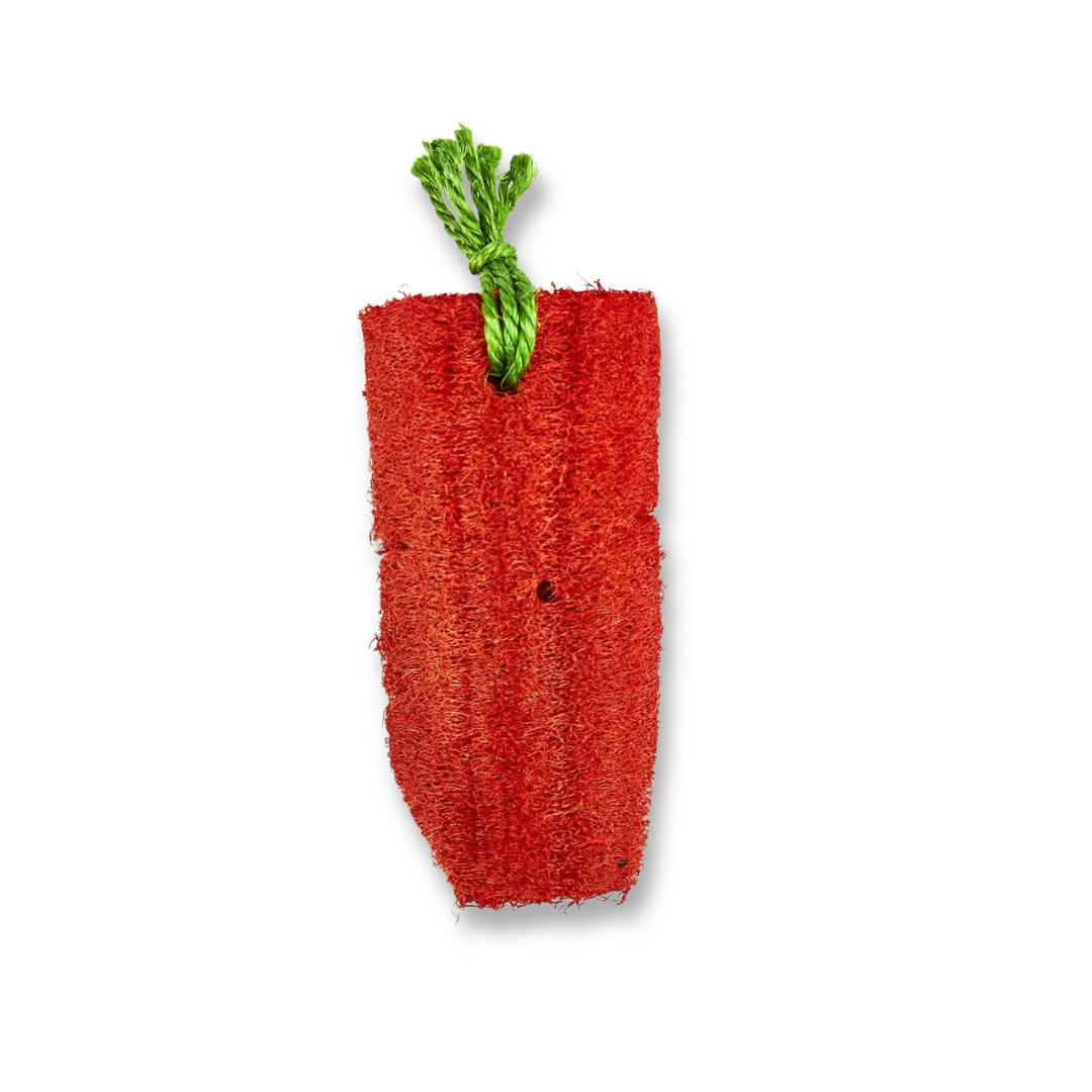 Kaytee Juguete/mordedera Loofa Crispy Garden para pequeños Mamíferos Jumbo