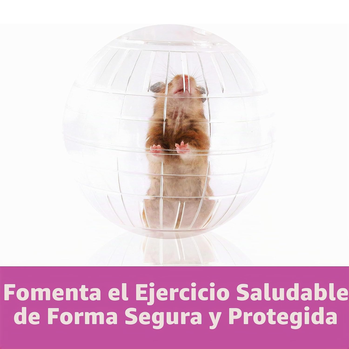 Kaytee Esfera ejercitadora para hamster transparente