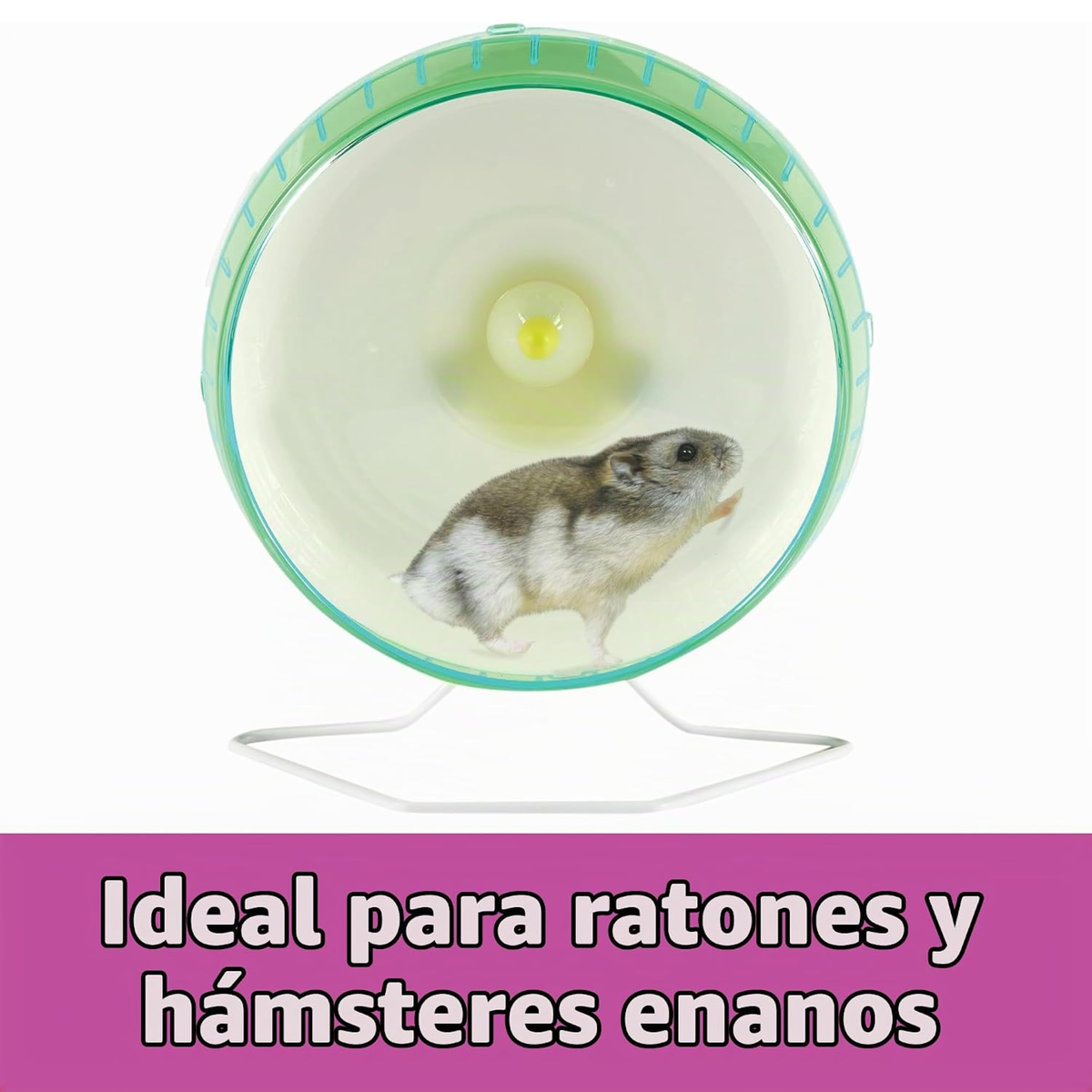 Kaytee Rueda ejercitadora SILENT SPINNER mini